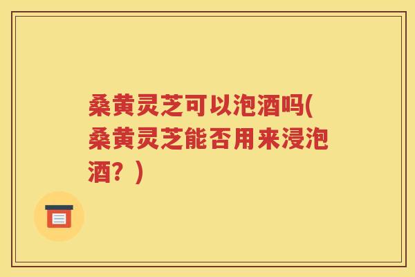 桑黄灵芝可以泡酒吗(桑黄灵芝能否用来浸泡酒？)