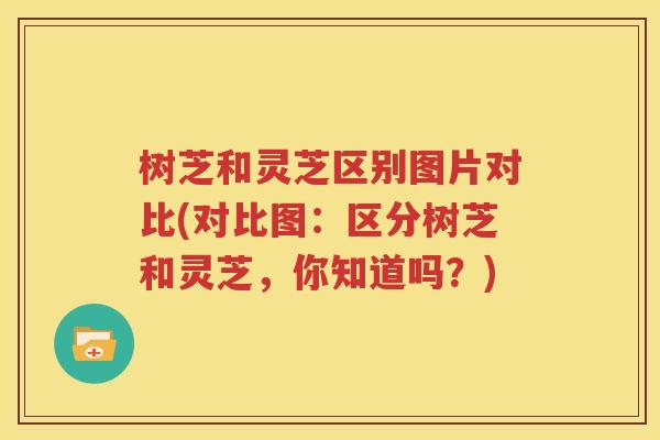 树芝和灵芝区别图片对比(对比图：区分树芝和灵芝，你知道吗？)
