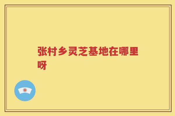 张村乡灵芝基地在哪里呀