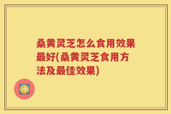 桑黄灵芝怎么食用效果最好(桑黄灵芝食用方法及最佳效果)