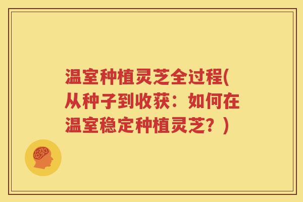 温室种植灵芝全过程(从种子到收获：如何在温室稳定种植灵芝？)