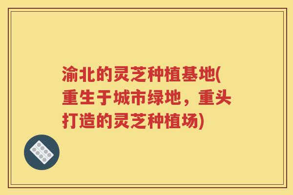 渝北的灵芝种植基地(重生于城市绿地，重头打造的灵芝种植场)
