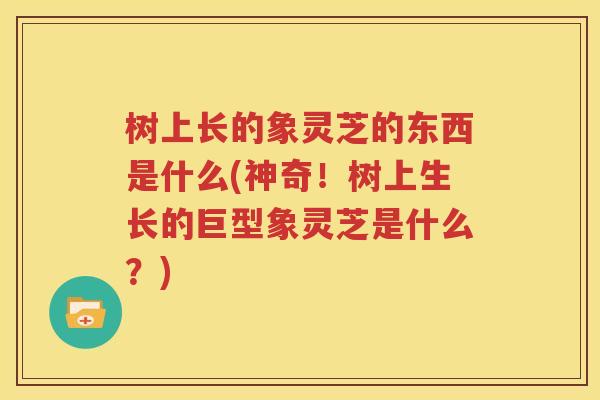 树上长的象灵芝的东西是什么(神奇！树上生长的巨型象灵芝是什么？)