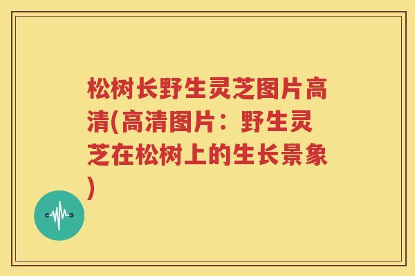 松树长野生灵芝图片高清(高清图片：野生灵芝在松树上的生长景象)
