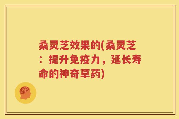 桑灵芝效果的(桑灵芝：提升免疫力，延长寿命的神奇草药)