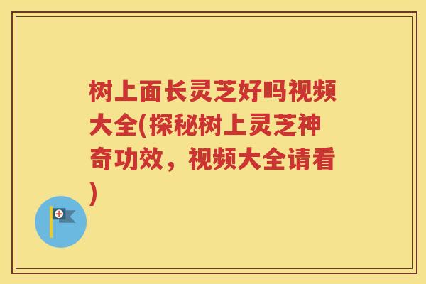 树上面长灵芝好吗视频大全(探秘树上灵芝神奇功效，视频大全请看)