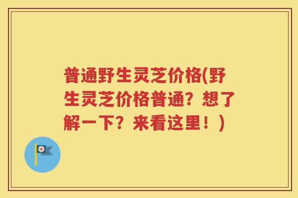 普通野生灵芝价格(野生灵芝价格普通？想了解一下？来看这里！)
