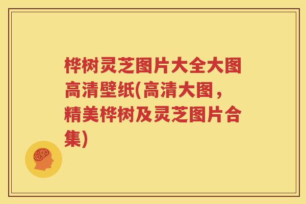 桦树灵芝图片大全大图高清壁纸(高清大图，精美桦树及灵芝图片合集)