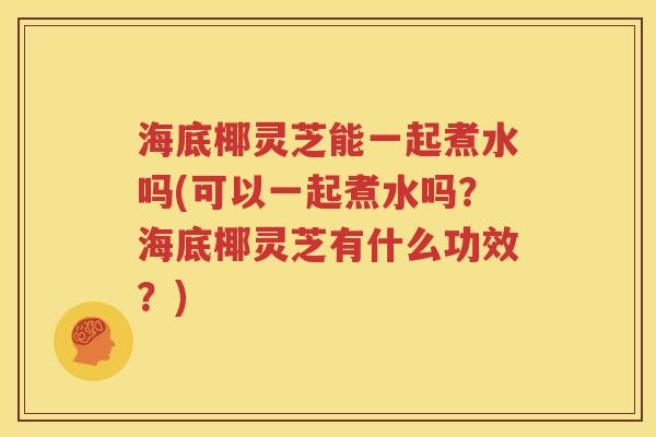 海底椰灵芝能一起煮水吗(可以一起煮水吗？海底椰灵芝有什么功效？)