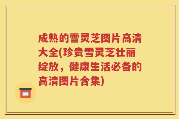 成熟的雪灵芝图片高清大全(珍贵雪灵芝壮丽绽放，健康生活必备的高清图片合集)
