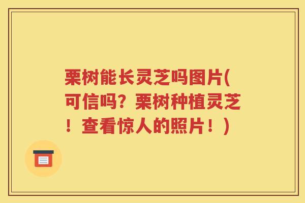 栗树能长灵芝吗图片(可信吗？栗树种植灵芝！查看惊人的照片！)