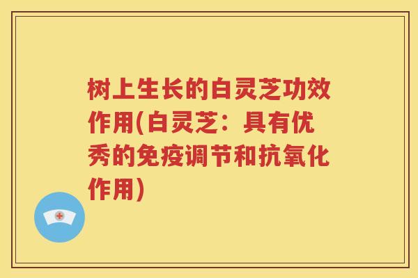 树上生长的白灵芝功效作用(白灵芝：具有优秀的免疫调节和抗氧化作用)