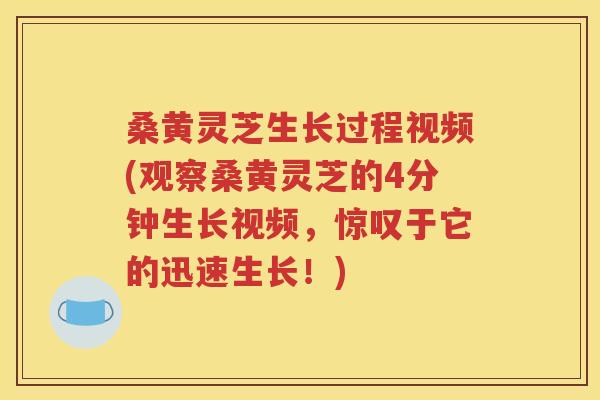 桑黄灵芝生长过程视频(观察桑黄灵芝的4分钟生长视频，惊叹于它的迅速生长！)