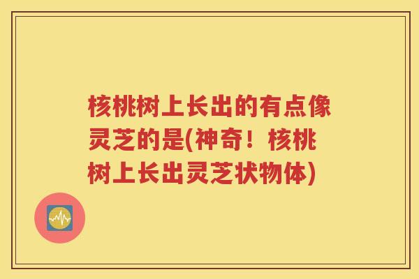 核桃树上长出的有点像灵芝的是(神奇！核桃树上长出灵芝状物体)
