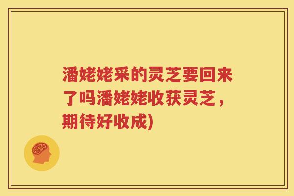 潘姥姥采的灵芝要回来了吗潘姥姥收获灵芝，期待好收成)