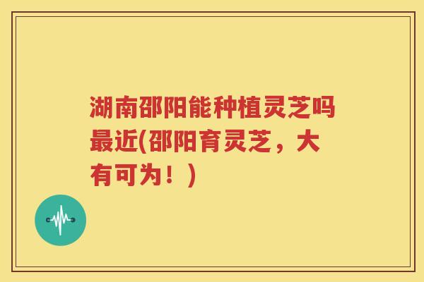 湖南邵阳能种植灵芝吗最近(邵阳育灵芝，大有可为！)