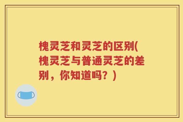 槐灵芝和灵芝的区别(槐灵芝与普通灵芝的差别，你知道吗？)