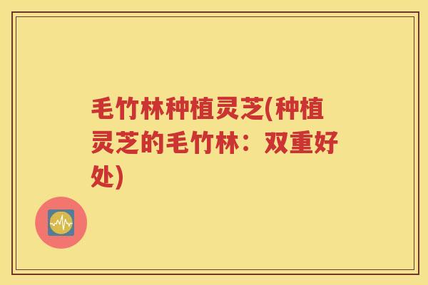 毛竹林种植灵芝(种植灵芝的毛竹林：双重好处)