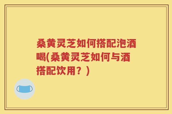 桑黄灵芝如何搭配泡酒喝(桑黄灵芝如何与酒搭配饮用？)