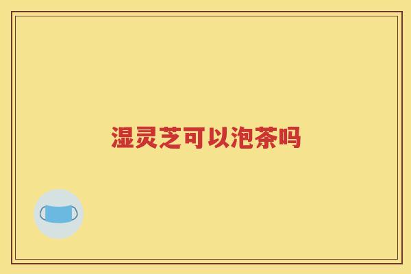 湿灵芝可以泡茶吗