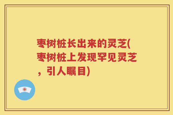 枣树桩长出来的灵芝(枣树桩上发现罕见灵芝，引人瞩目)