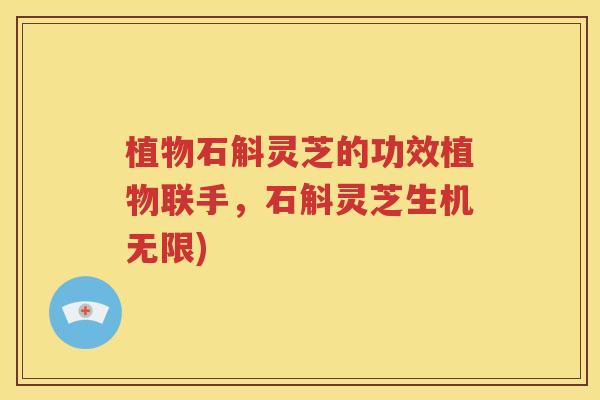 植物石斛灵芝的功效植物联手，石斛灵芝生机无限)