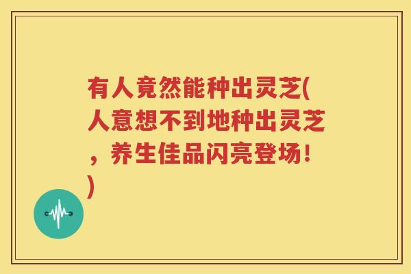 有人竟然能种出灵芝(人意想不到地种出灵芝，养生佳品闪亮登场！)