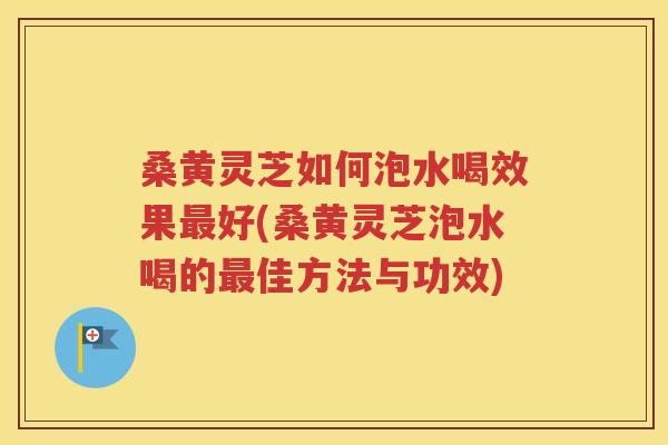 桑黄灵芝如何泡水喝效果最好(桑黄灵芝泡水喝的最佳方法与功效)