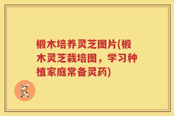椴木培养灵芝图片(椴木灵芝栽培图，学习种植家庭常备灵药)