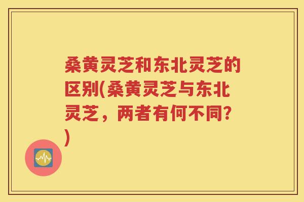 桑黄灵芝和东北灵芝的区别(桑黄灵芝与东北灵芝，两者有何不同？)