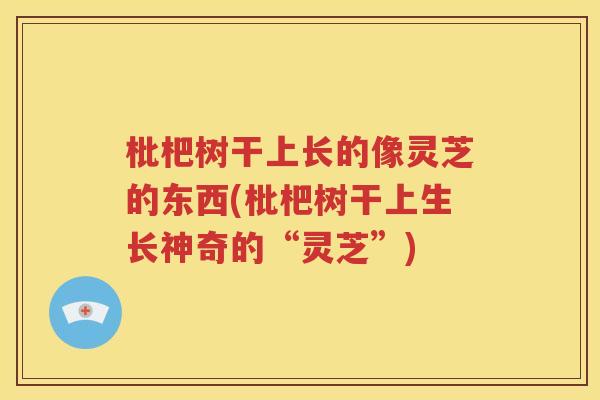 枇杷树干上长的像灵芝的东西(枇杷树干上生长神奇的“灵芝”)