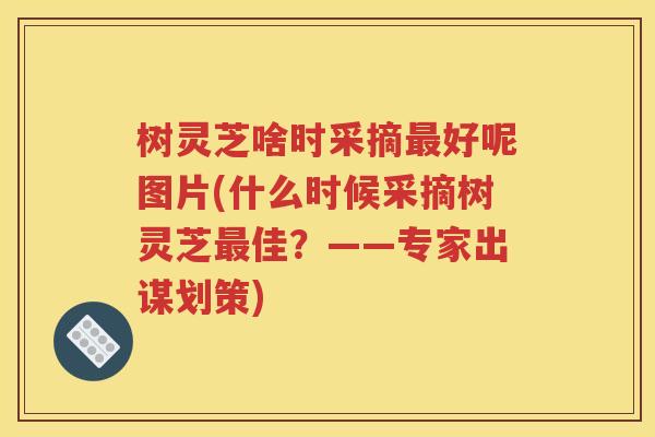 树灵芝啥时采摘最好呢图片(什么时候采摘树灵芝最佳？——专家出谋划策)