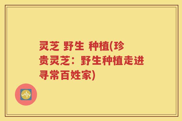 灵芝 野生 种植(珍贵灵芝：野生种植走进寻常百姓家)