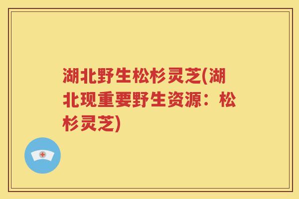 湖北野生松杉灵芝(湖北现重要野生资源：松杉灵芝)
