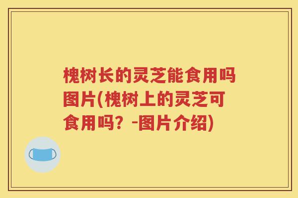 槐树长的灵芝能食用吗图片(槐树上的灵芝可食用吗？-图片介绍)