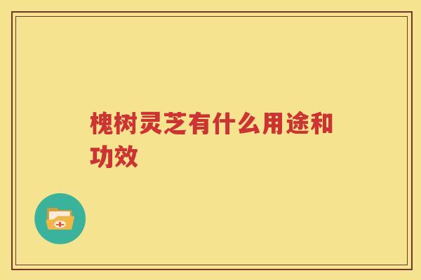 槐树灵芝有什么用途和功效