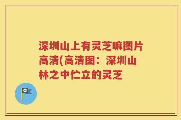 深圳山上有灵芝嘛图片高清(高清图：深圳山林之中伫立的灵芝
