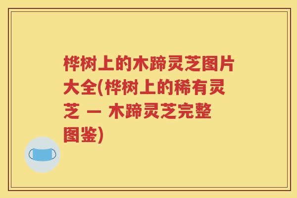 桦树上的木蹄灵芝图片大全(桦树上的稀有灵芝 — 木蹄灵芝完整图鉴)