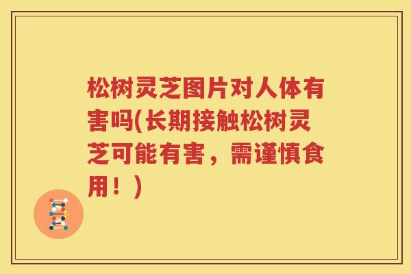 松树灵芝图片对人体有害吗(长期接触松树灵芝可能有害，需谨慎食用！)
