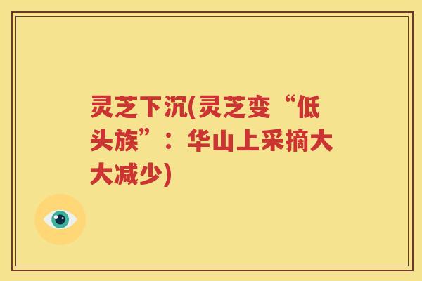 灵芝下沉(灵芝变“低头族”：华山上采摘大大减少)