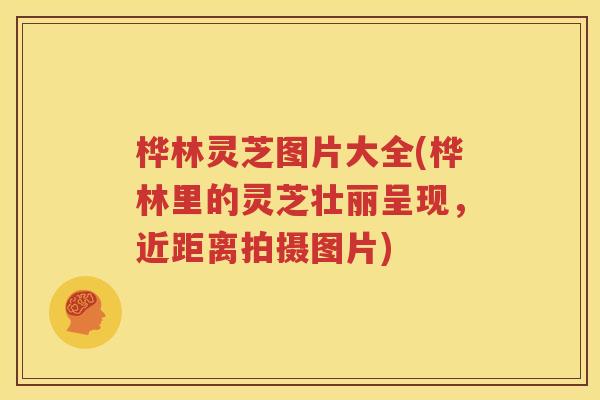 桦林灵芝图片大全(桦林里的灵芝壮丽呈现，近距离拍摄图片)