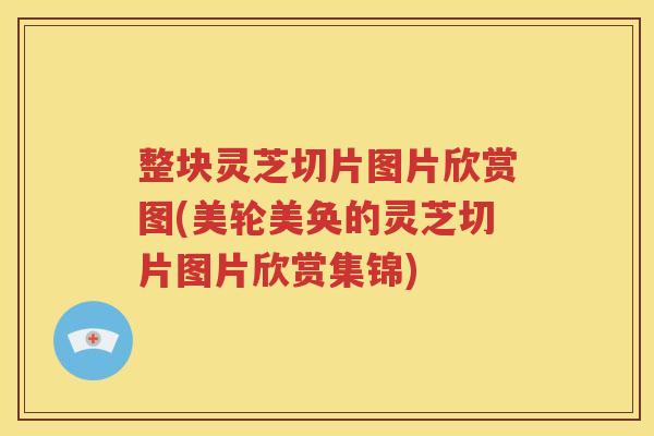 整块灵芝切片图片欣赏图(美轮美奂的灵芝切片图片欣赏集锦)
