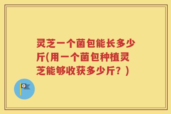 灵芝一个菌包能长多少斤(用一个菌包种植灵芝能够收获多少斤？)