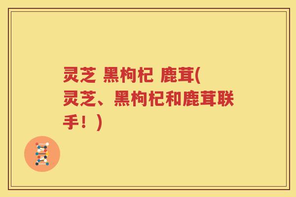 灵芝 黑枸杞 鹿茸(灵芝、黑枸杞和鹿茸联手！)