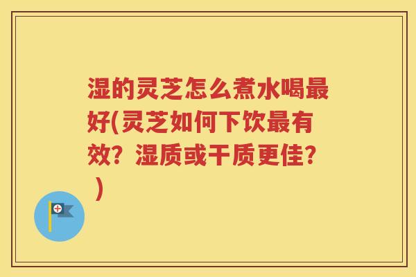 湿的灵芝怎么煮水喝最好(灵芝如何下饮最有效？湿质或干质更佳？ )