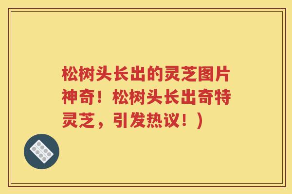 松树头长出的灵芝图片神奇！松树头长出奇特灵芝，引发热议！)