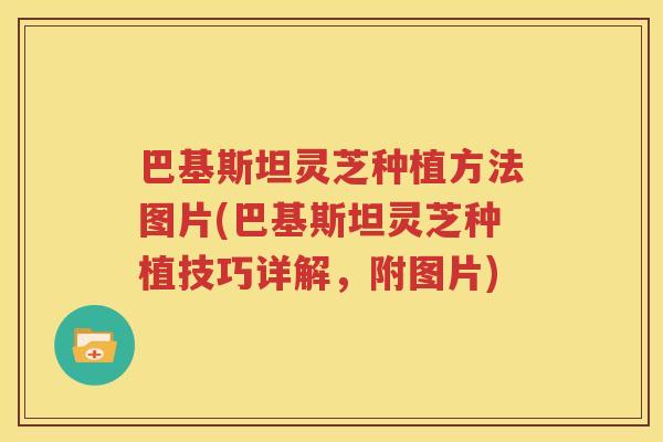 巴基斯坦灵芝种植方法图片(巴基斯坦灵芝种植技巧详解，附图片)