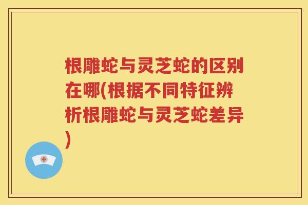 根雕蛇与灵芝蛇的区别在哪(根据不同特征辨析根雕蛇与灵芝蛇差异)