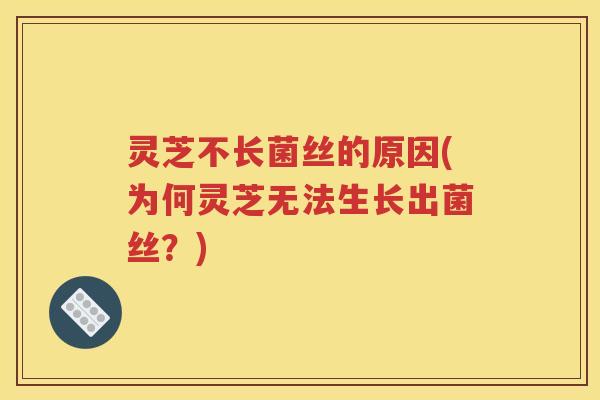 灵芝不长菌丝的原因(为何灵芝无法生长出菌丝？)