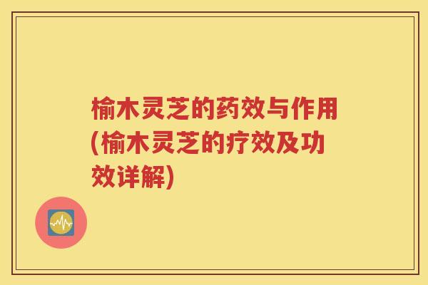 榆木灵芝的药效与作用(榆木灵芝的疗效及功效详解)
